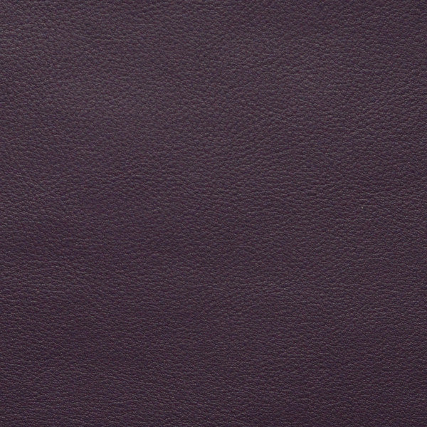Persuasion - Aubergine
