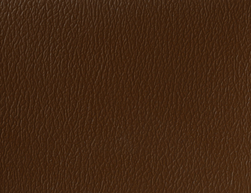 US 381 Mocha
