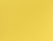 US 322 Sun Yellow