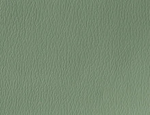 US 417 Dusty Jade