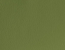 US 529 Olive Green