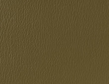 US 523 Bronze