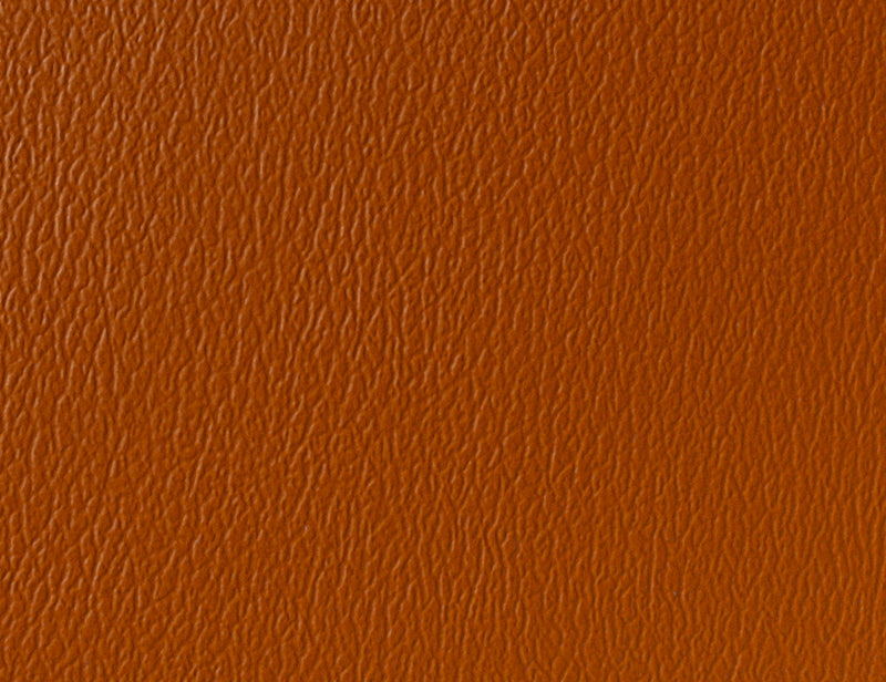 US 377 Cinnamon